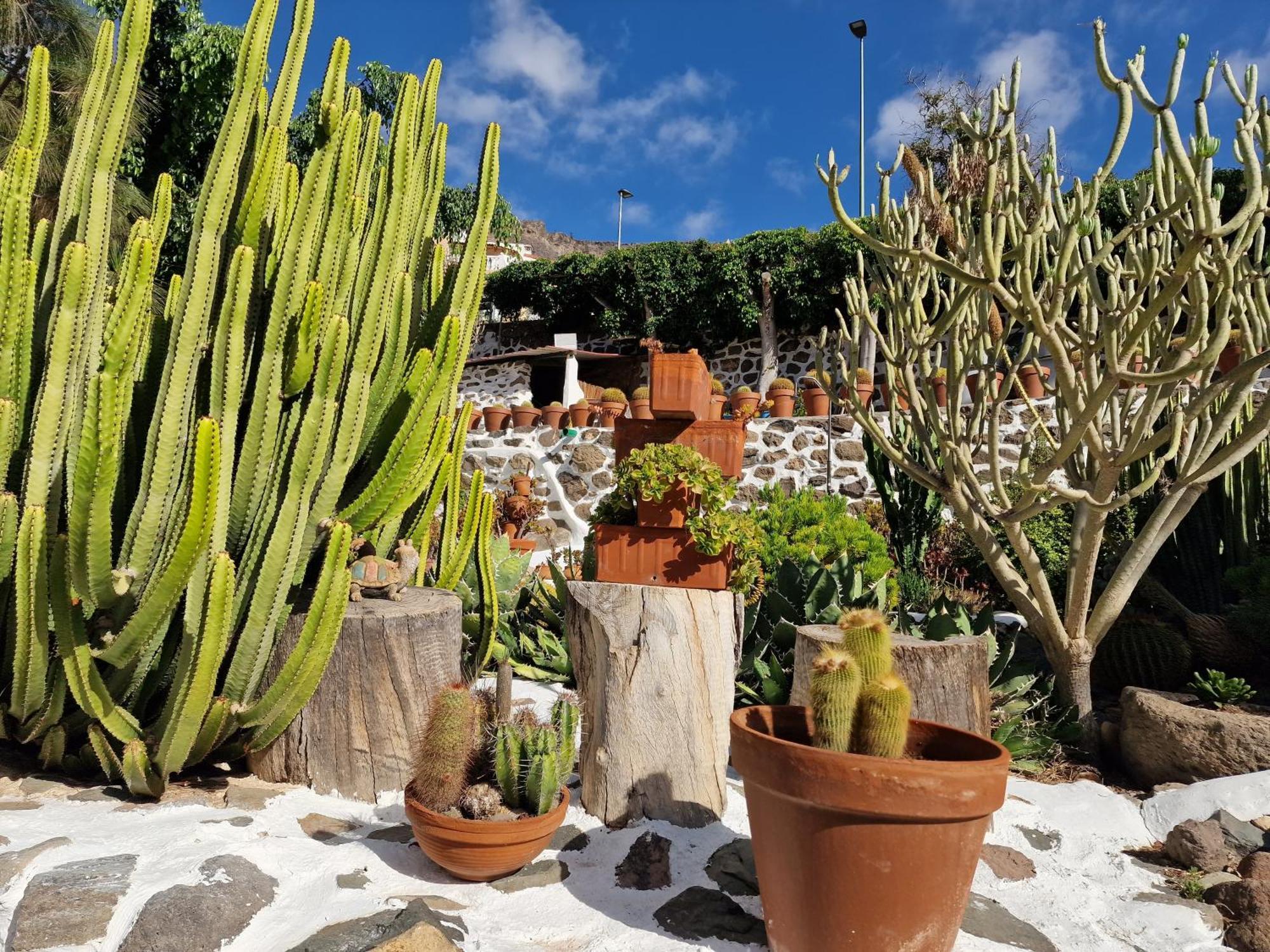 Historica Casa Con Vistas Al Jardin De Cactus Y Montanas Villa Mogán Buitenkant foto