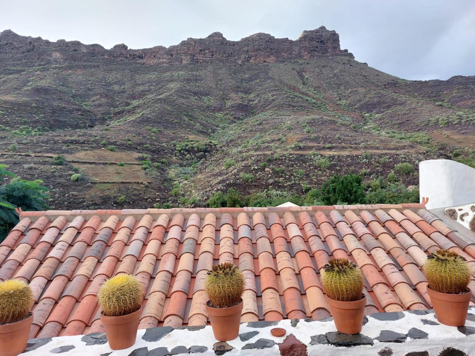 Historica Casa Con Vistas Al Jardin De Cactus Y Montanas Villa Mogán Buitenkant foto
